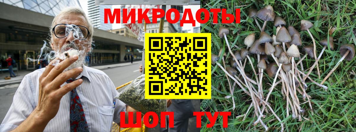 Псилоцибиновые грибы прущие грибы Котлас