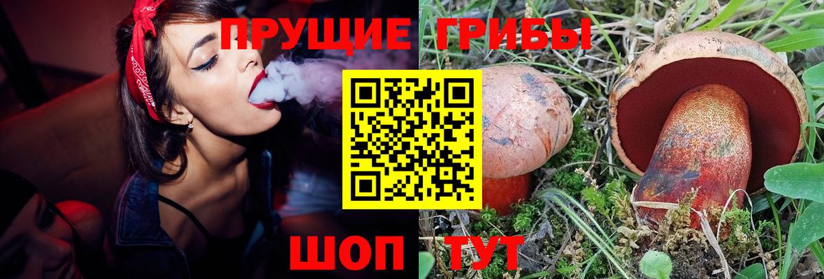 Котлас  Псилоцибиновые грибы GOLDEN TEACHER  Вход с VPN 